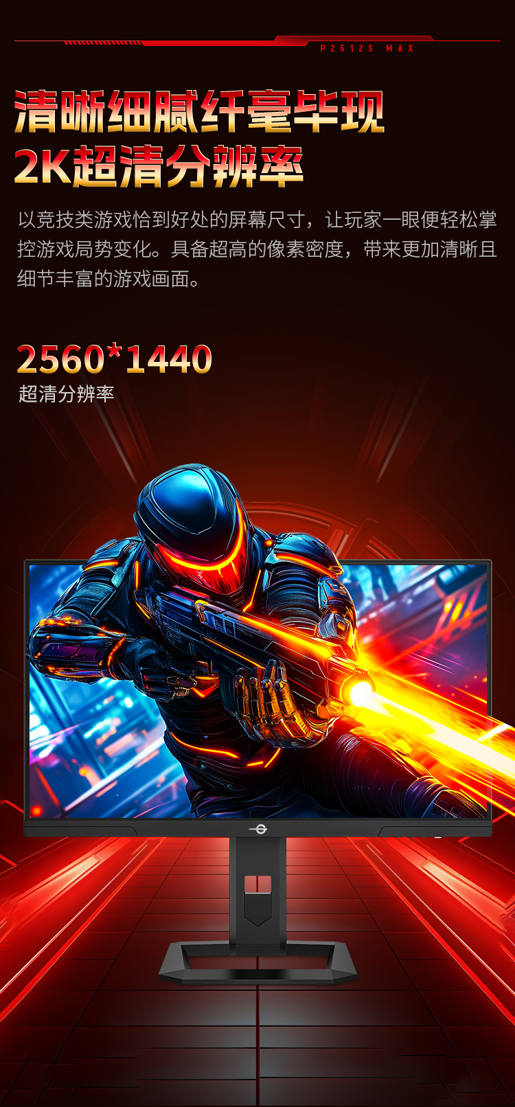 P2512S-MAX_06.jpg