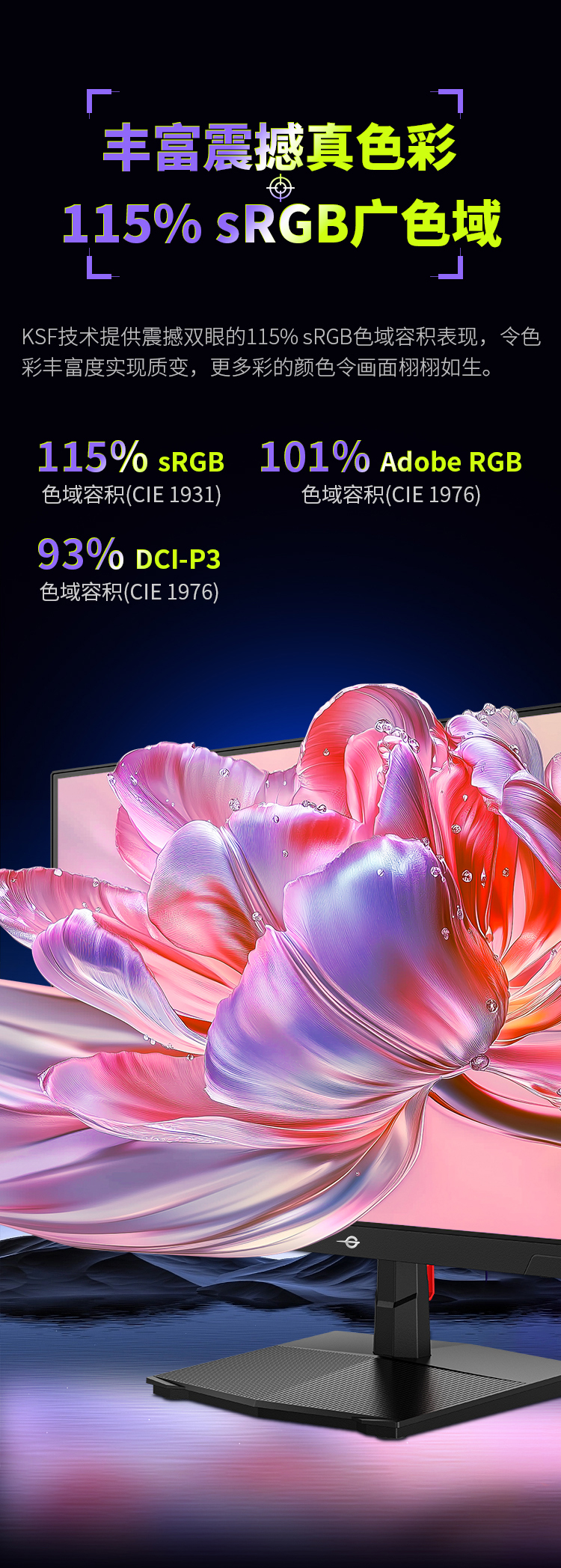 P2510H-PLUS_06.jpg